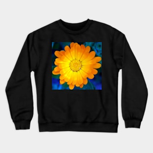 Callendula at Magpie Springs by Avril Thomas Crewneck Sweatshirt